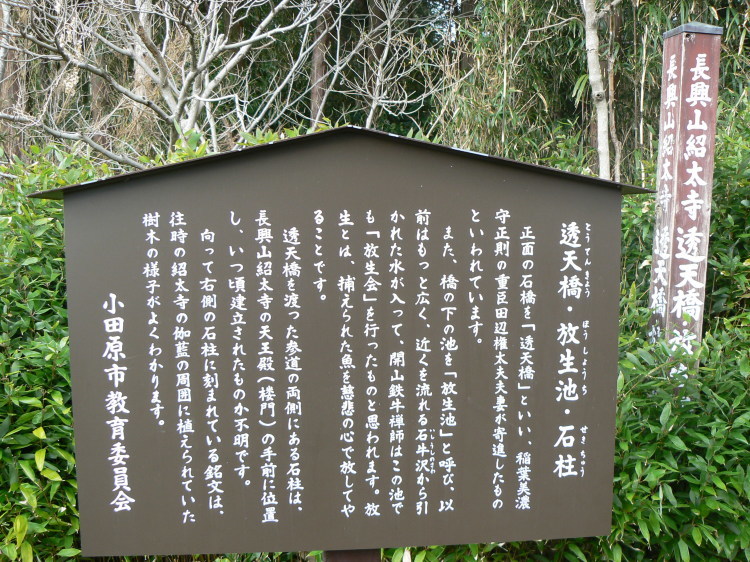 2007/3/31【神奈川県小田原花見】幽邃の長興山しだれ桜と玉宝寺五百羅漢【春日局の小田原墓】_b0116271_21362929.jpg