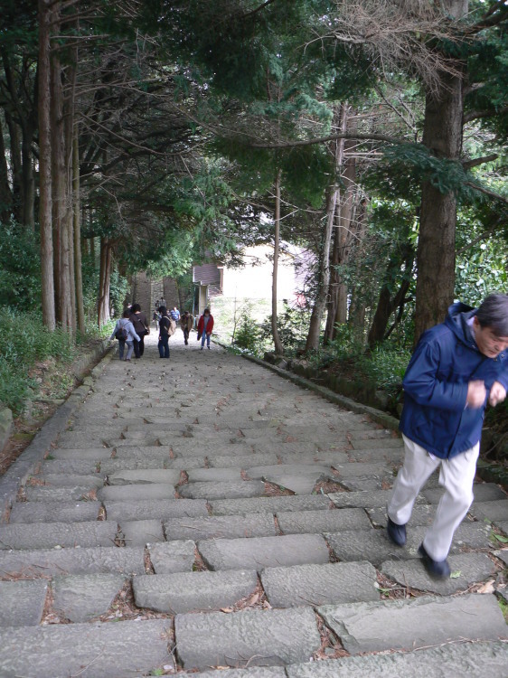 2007/3/31【神奈川県小田原花見】幽邃の長興山しだれ桜と玉宝寺五百羅漢【春日局の小田原墓】_b0116271_21363025.jpg
