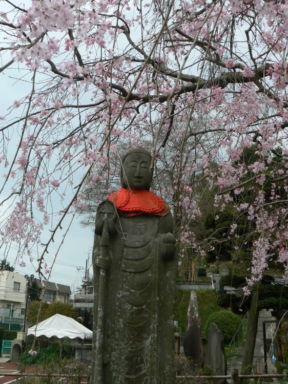 2007/3/31【神奈川県小田原花見】幽邃の長興山しだれ桜と玉宝寺五百羅漢【春日局の小田原墓】_b0116271_21532295.jpg