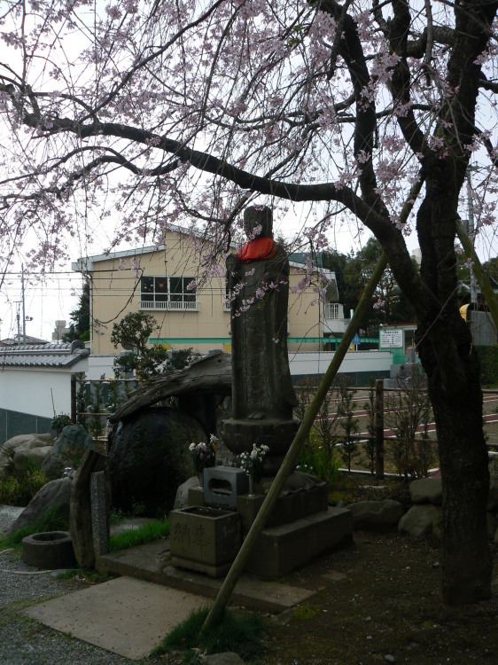 2007/3/31【神奈川県小田原花見】幽邃の長興山しだれ桜と玉宝寺五百羅漢【春日局の小田原墓】_b0116271_21594239.jpg