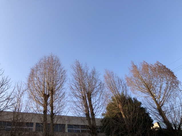 健診結果に思う。_a0394574_21391230.jpeg