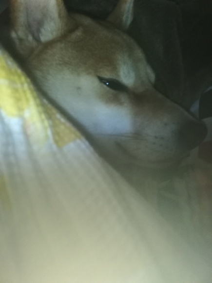 よる年波_b0400775_05062443.jpg