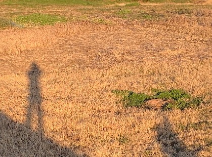 方向感覚_e0077899_12265450.jpg