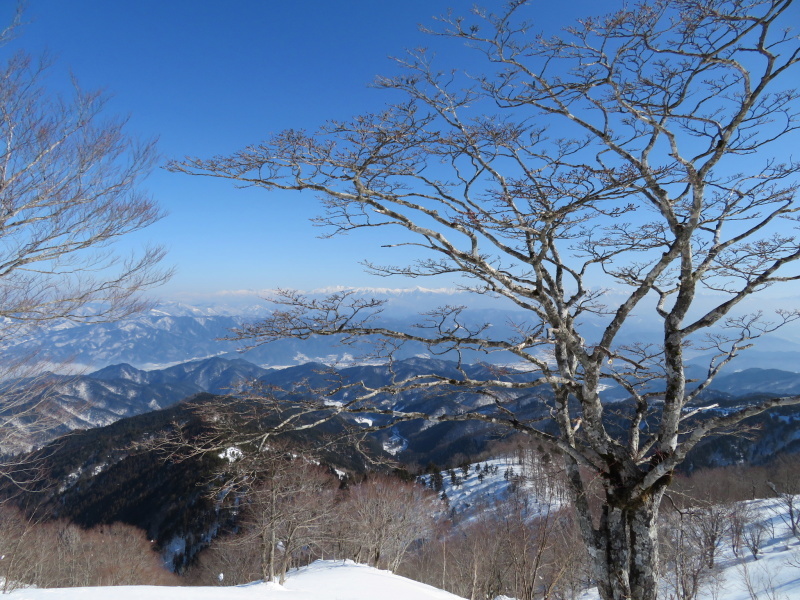 快晴の　猪臥山 (1,518.8M)    下山 編_d0170615_21551026.jpg