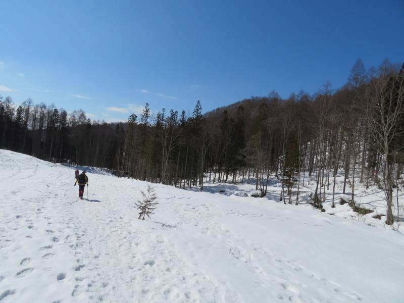 快晴の　猪臥山 (1,518.8M)    下山 編_d0170615_21561019.jpg