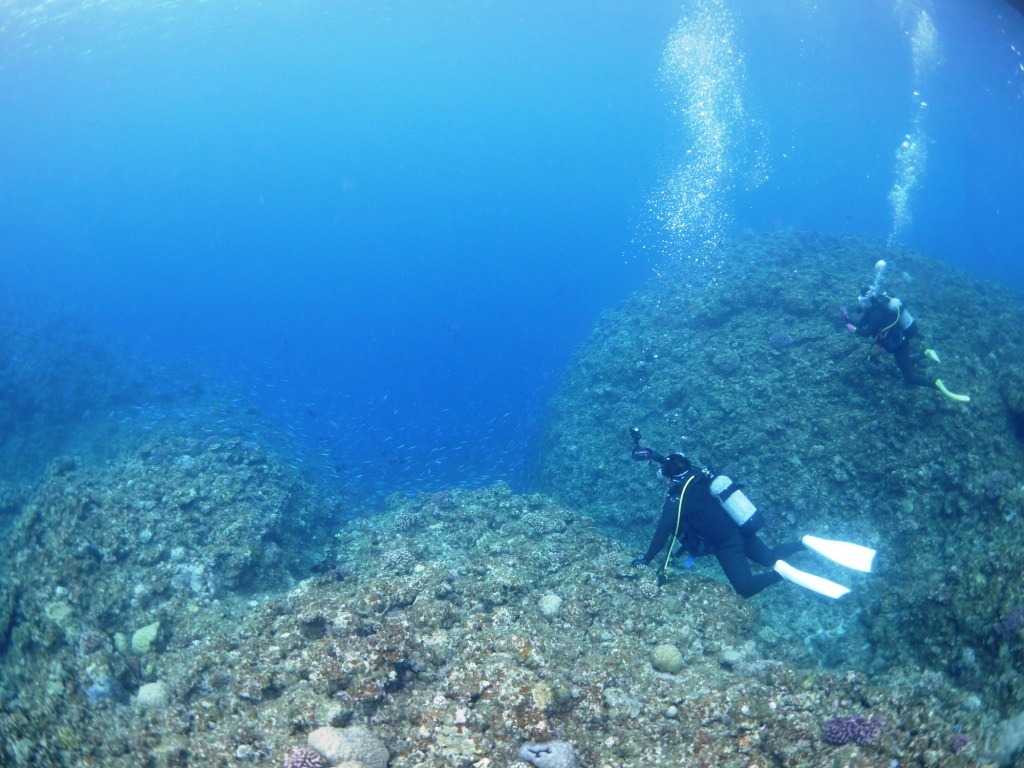 黒島の海中をお散歩~♪_a0189838_11111040.jpg