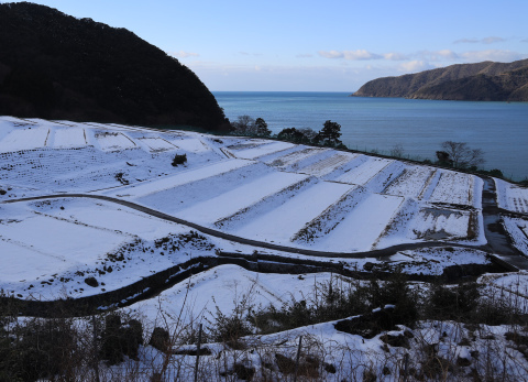 田鳥の棚田 モクもく写真館