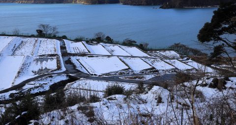 田鳥の棚田 モクもく写真館
