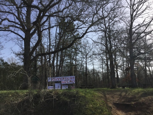 自然の中で深呼吸 その2_c0175451_02521204.jpeg