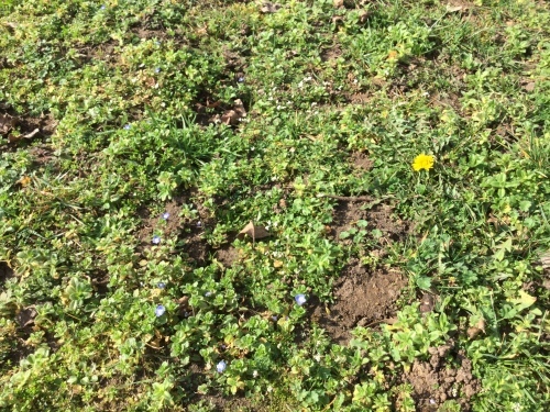 自然の中で深呼吸 その2_c0175451_02580794.jpeg