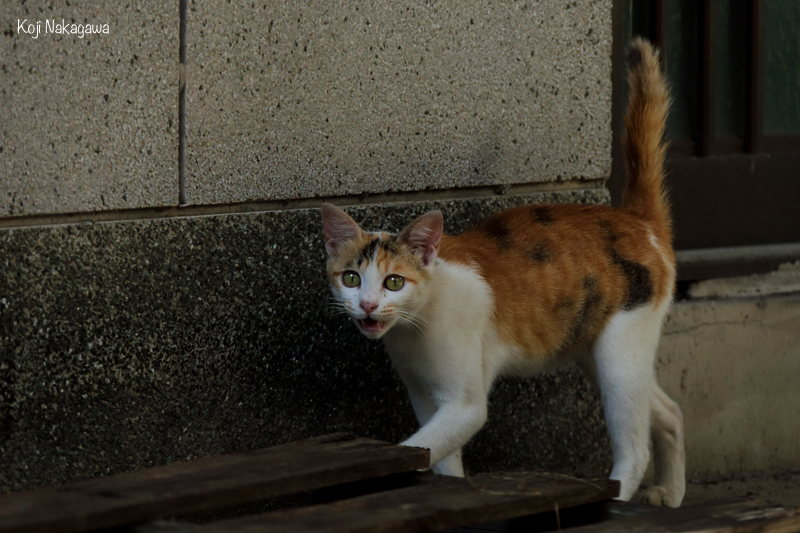 抱かれし時_c0049767_08462551.jpg
