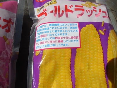 1回目スイートコーン播種_c0332682_20571277.jpg