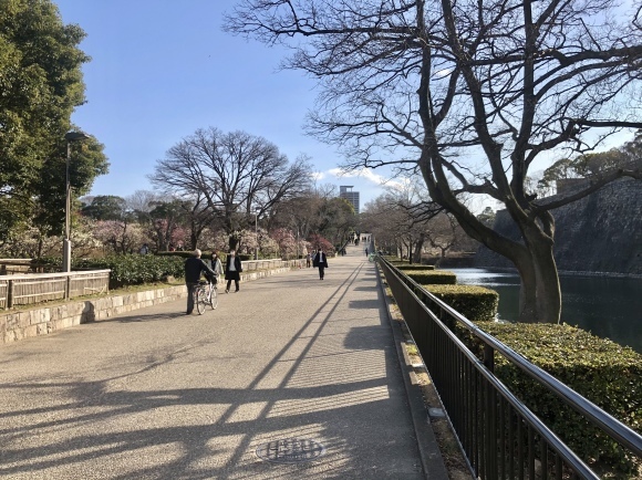 大阪城公園梅林_c0388708_05320540.jpeg