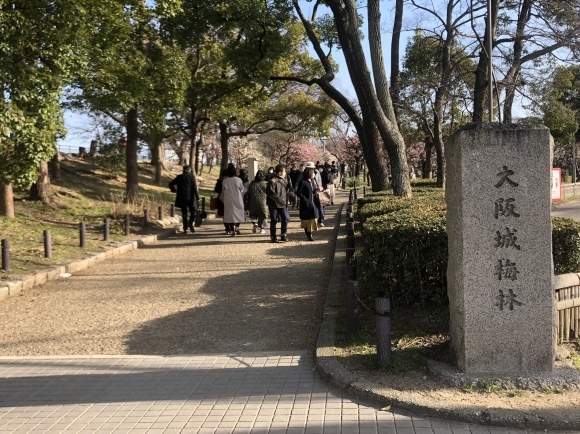 大阪城公園梅林_c0388708_05340464.jpeg