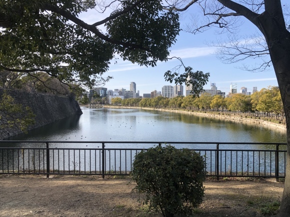 大阪城公園梅林_c0388708_05380523.jpeg