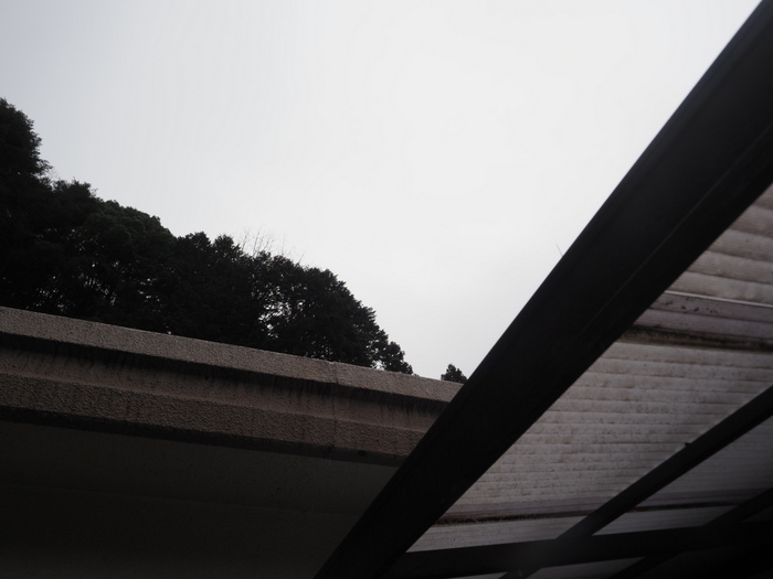 雨の一日_c0116915_22234756.jpg