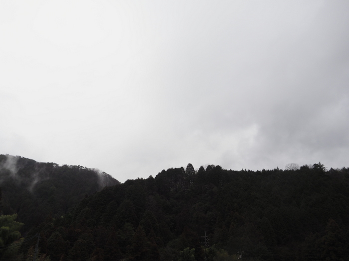 雨の一日_c0116915_22240310.jpg