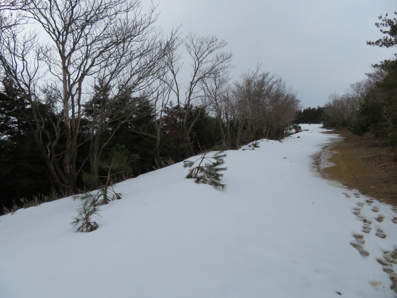 登山者が多かった 養老山 (859M) 登頂・下山 編_d0170615_22423846.jpg
