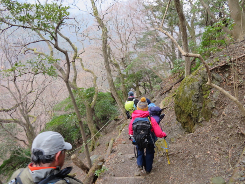 登山者が多かった 養老山 (859M) 登頂・下山 編_d0170615_22431790.jpg