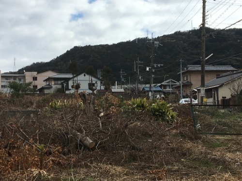 東海道歩き５７次①追分から藤森神社_b0228416_19331463.jpg