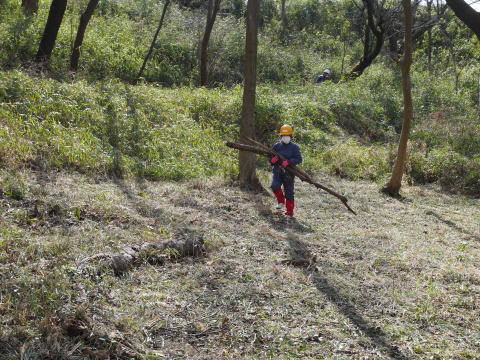 実生のクリ苗などの植樹準備整う2・25六国見山手入れ_c0014967_06402756.jpg