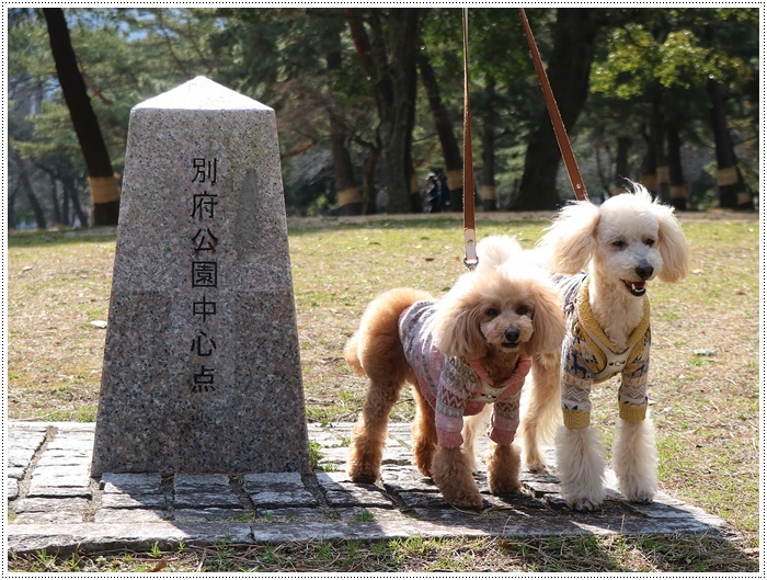 梅の花に誘われて、公園のはしご\(>∀<)/_b0175688_23365995.jpg