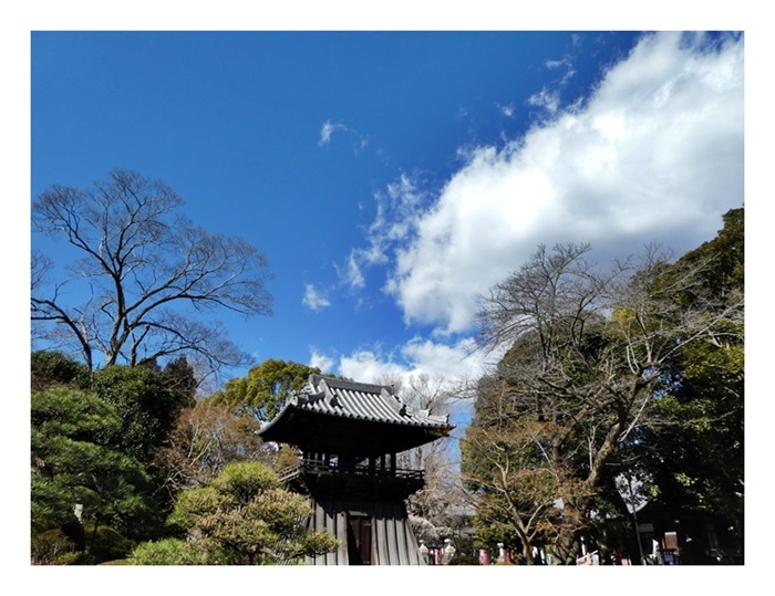 2月の終わる頃_e0379198_00252601.jpg