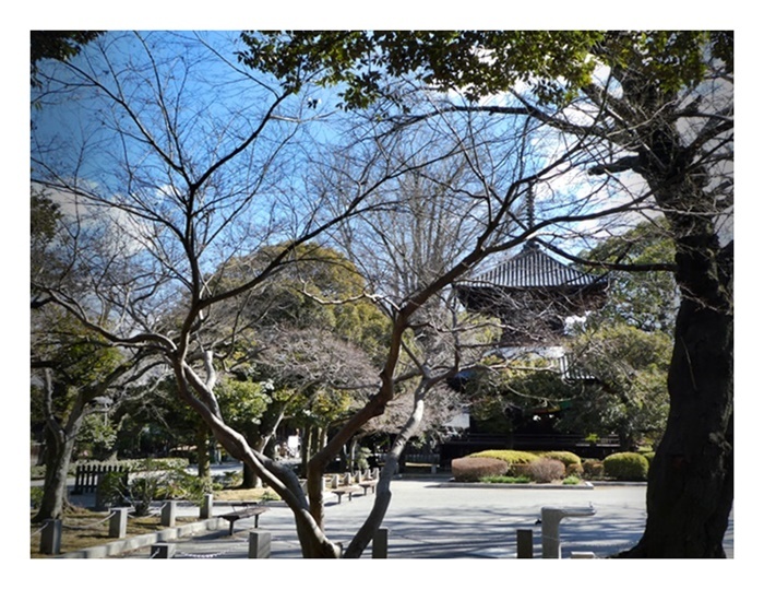 2月の終わる頃_e0379198_00255462.jpg