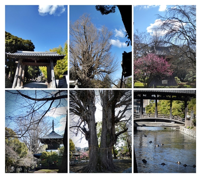 2月の終わる頃_e0379198_00261025.jpg