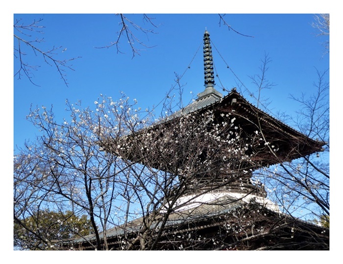 2月の終わる頃_e0379198_00272547.jpg