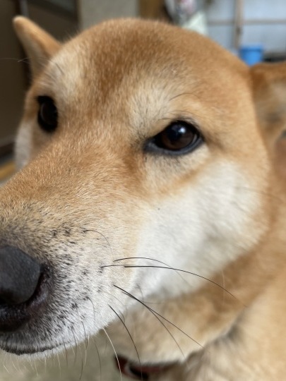 燻された、、?_b0229801_10442086.jpeg