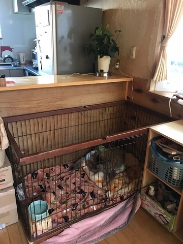 部屋分け色々 青空 お日さま 笑顔 部屋分け色々 青空 お日さま 笑顔