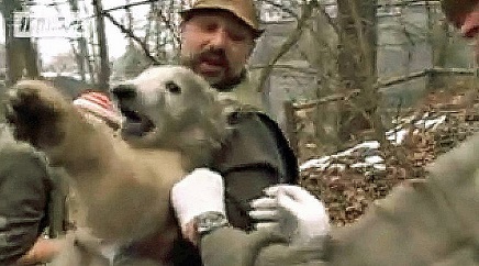 大阪・天王寺動物園で誕生の赤ちゃんは雌（メス）と判明 ～ 目視による性別判定とDNA検査による性別判定との微妙な関係_a0151913_16414637.jpg
