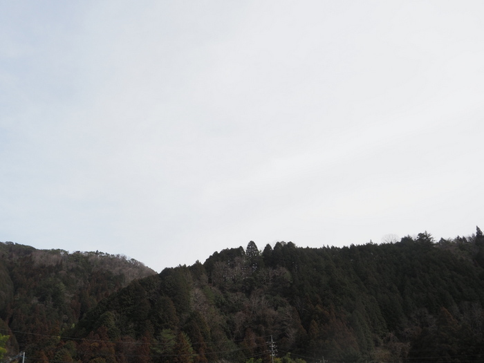 薄雲の晴れ_c0116915_21462659.jpg