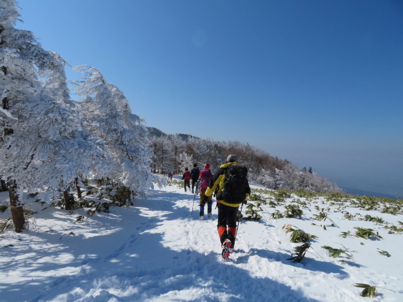 樹氷林を行く 南沢山 (1,564M) 横川山山頂目指す_d0170615_19131178.jpg