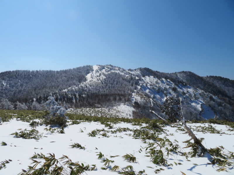 樹氷林を行く 南沢山 (1,564M) 横川山山頂目指す_d0170615_19133816.jpg