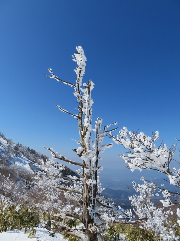 樹氷林を行く 南沢山 (1,564M) 横川山山頂目指す_d0170615_19141224.jpg