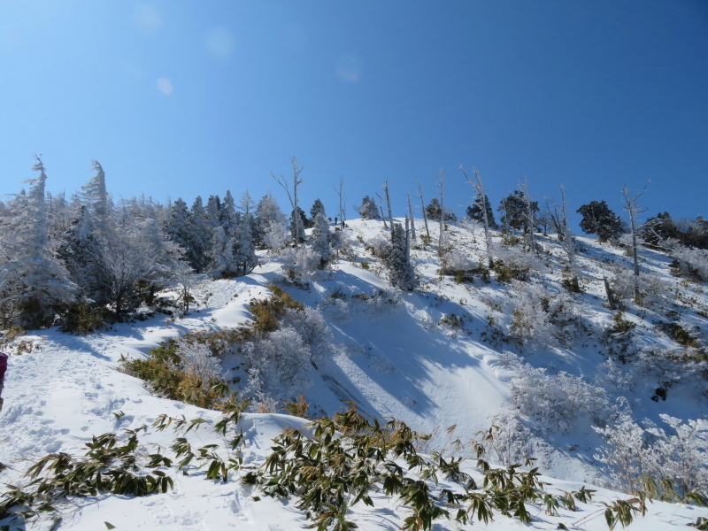 樹氷林を行く 南沢山 (1,564M) 横川山山頂目指す_d0170615_19142929.jpg