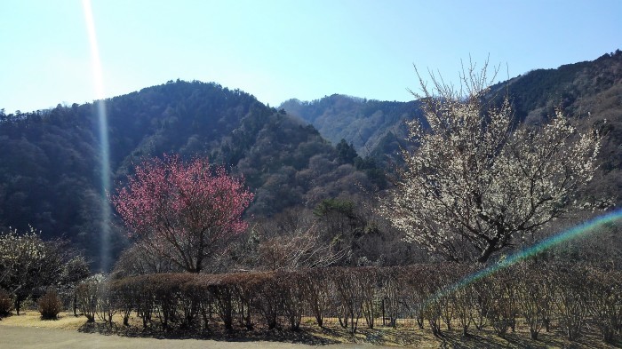■宮ヶ瀬ダム散策【友達と愛川公園～宮ヶ瀬ダム迄歩きました。】_b0033423_22151667.jpg