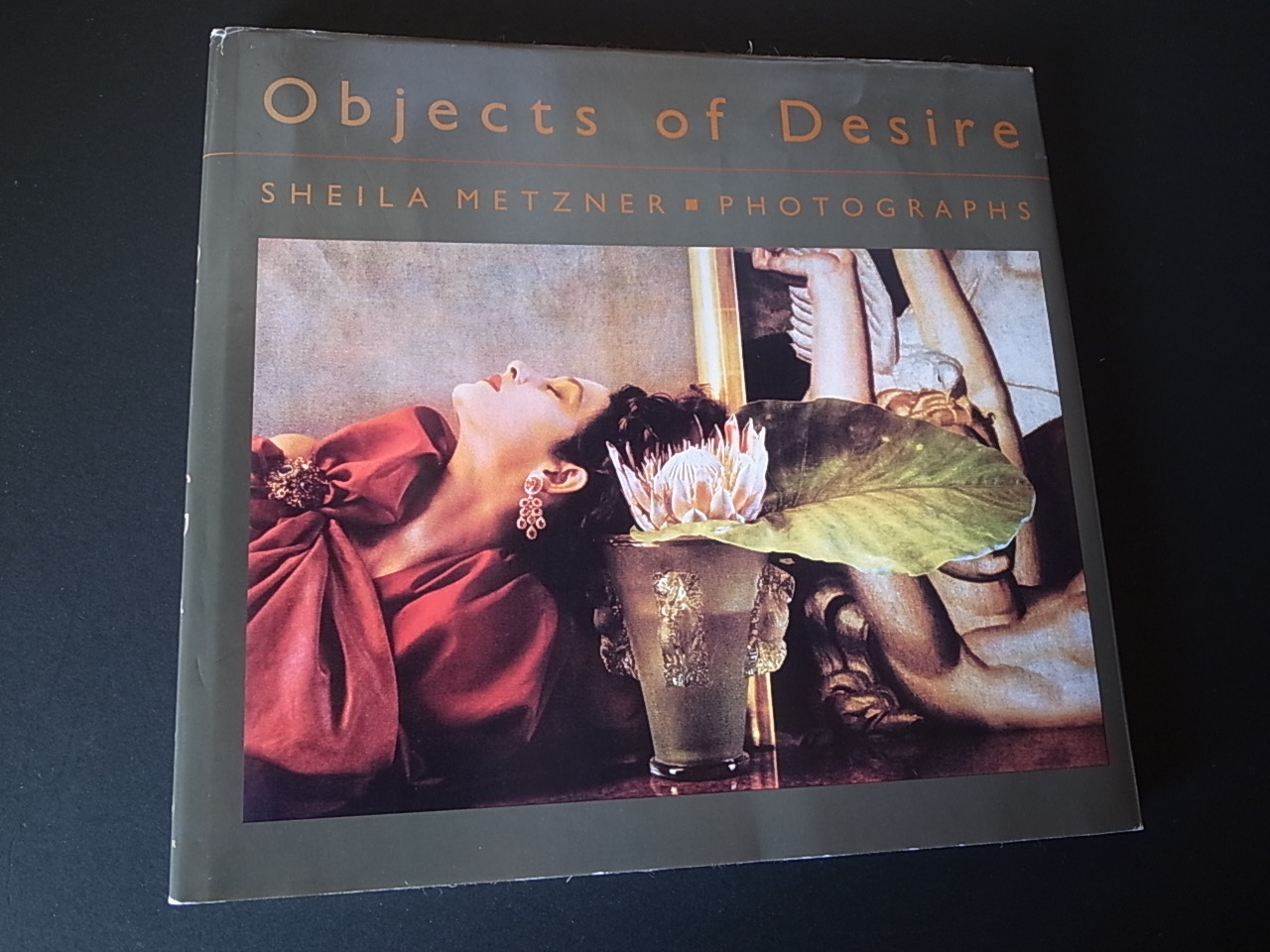 OBJECTS OF DESIRE / Sheila Metzner : Books & Things OBJECTS OF DESIRE / Sheila Metzner : Books & Things