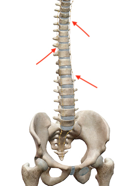股関節の不調には骨盤に加えて、自律神経も整えましょう 〜ある日の施術より〜_e0073240_07535506.jpg