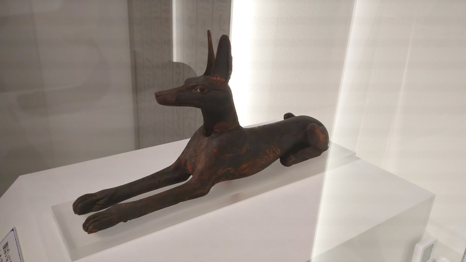 国立ベルリン・エジプト博物館所蔵 古代エジプト展 天地創造の 国立ベルリン・エジプト博物館所蔵 古代エジプト展 天地創造の
