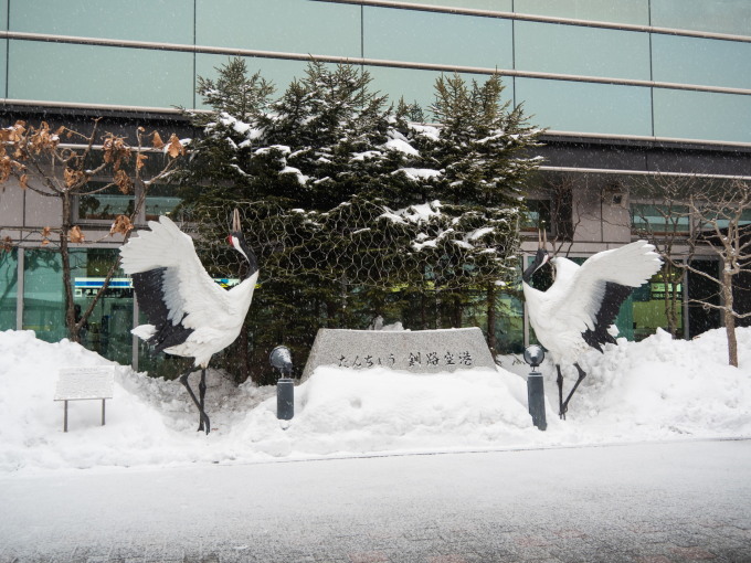 空から中札内村を眺めながら・・釧路から飛行機で札幌へ_f0276498_23301261.jpg