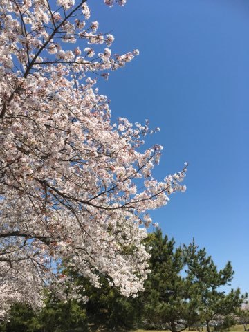 父の一周忌&#127800;&#127800;&#127800;_f0015517_19242605.jpeg