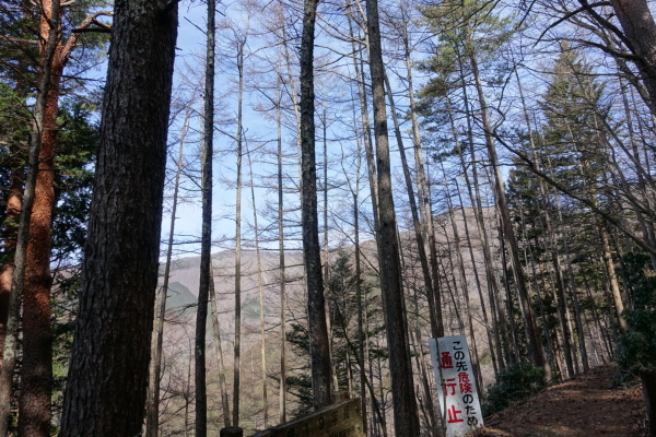 晴天の鷹の巣山。_a0138134_14361334.jpeg