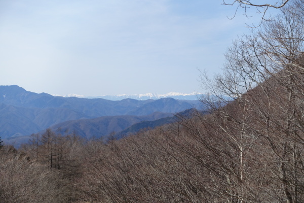 晴天の鷹の巣山。_a0138134_14443726.jpeg