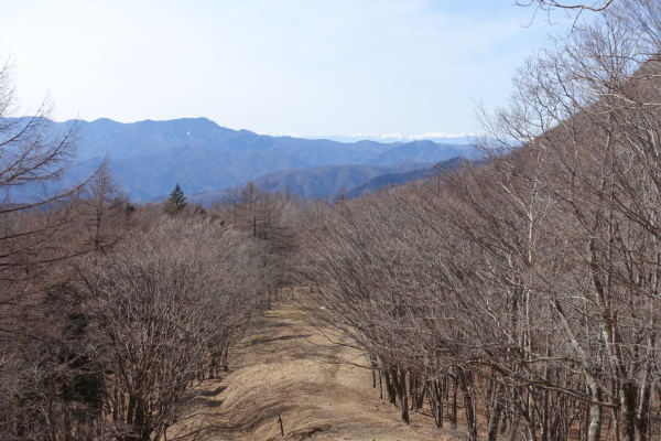 晴天の鷹の巣山。_a0138134_14460289.jpeg