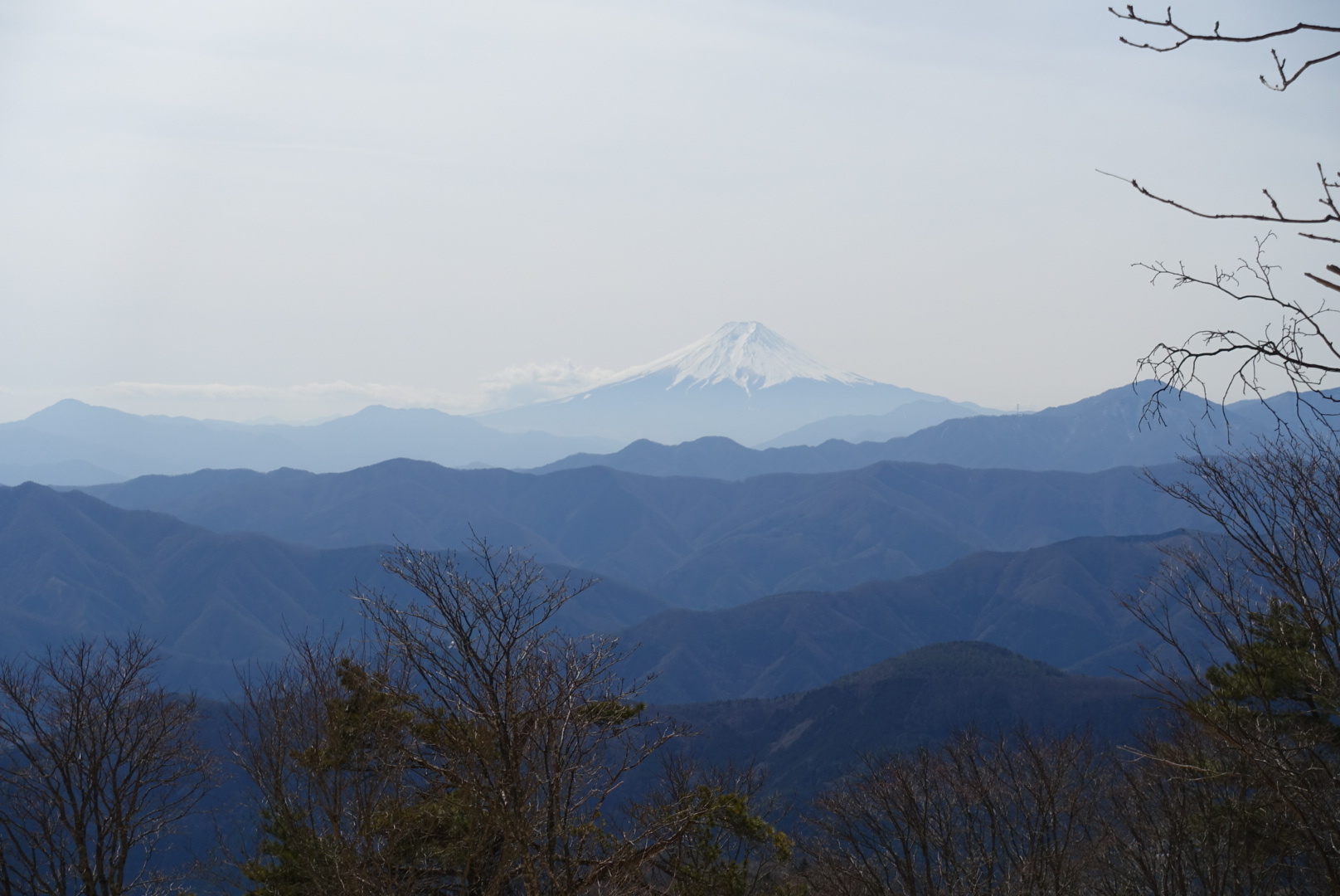 晴天の鷹の巣山。_a0138134_14480390.jpeg
