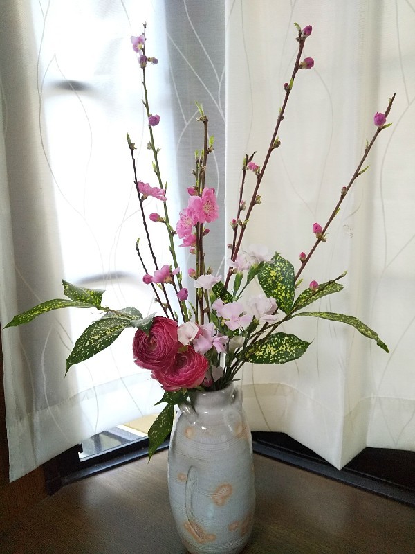 ひな祭りと桃の花 十色生活