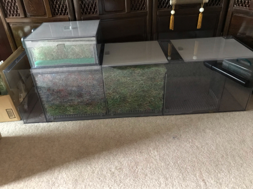 ぶどうの消毒とぷぅ工房 : こにおのぴよりうむ